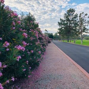 Meet your Posher, Kathleen